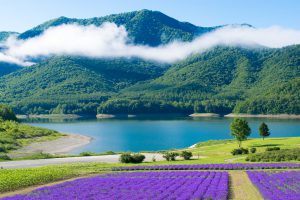 プチ旅行気分満喫！ゴルフ&温泉を楽しめるコース