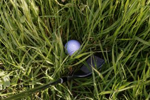ゴルフでサンドウェッジの精度を上げるオススメ練習法とは？