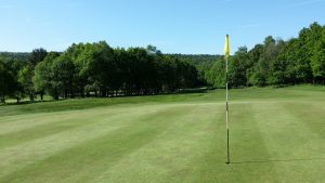 ゴルフでグリーンの「芝の状態を知る」ってどうやって知るの？